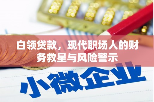 镇远白领贷款，现代职场人的财务救星与风险警示