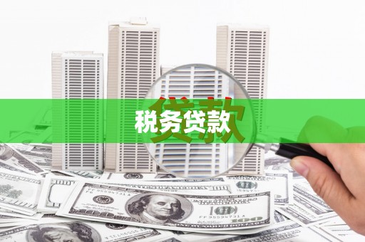 镇远税务贷款