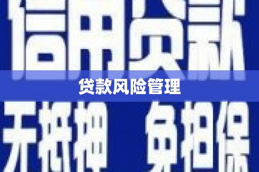 镇远贷款风险管理