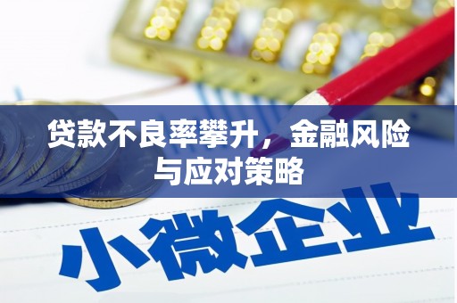 镇远贷款不良率攀升，金融风险与应对策略