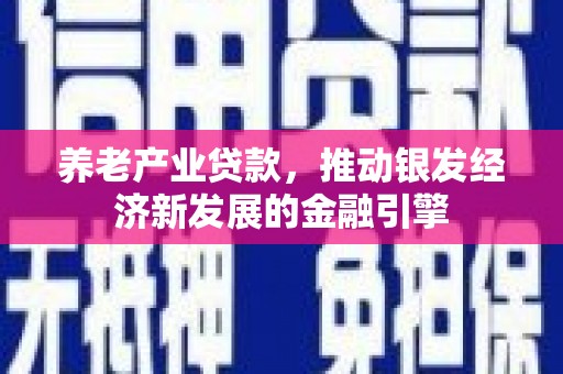 镇远养老产业贷款，推动银发经济新发展的金融引擎