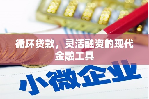 镇远循环贷款，灵活融资的现代金融工具