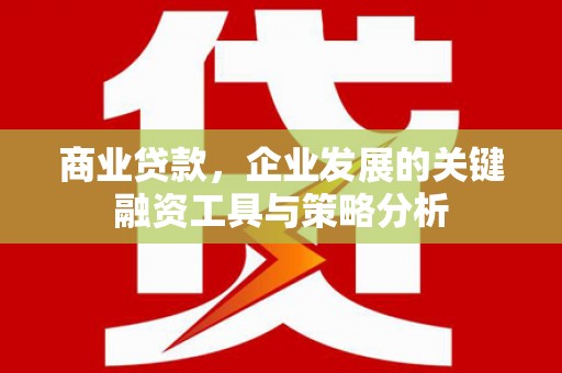 镇远商业贷款，企业发展的关键融资工具与策略分析