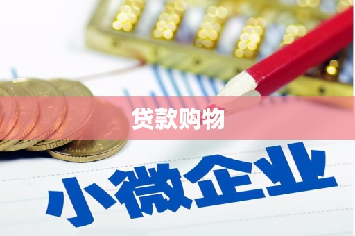 镇远贷款购物