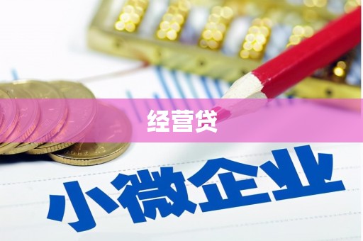 镇远经营贷