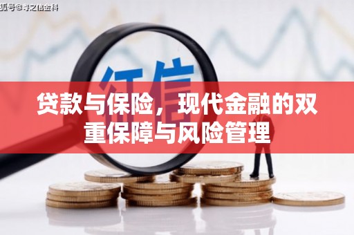 镇远贷款与保险，现代金融的双重保障与风险管理