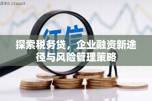 镇远探索税务贷，企业融资新途径与风险管理策略