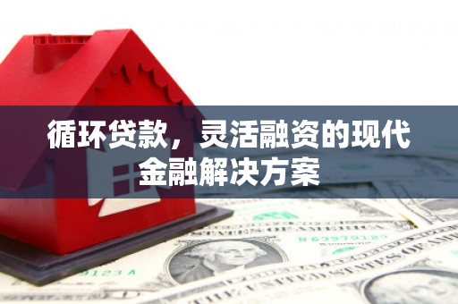 镇远循环贷款，灵活融资的现代金融解决方案