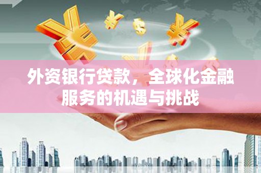 镇远外资银行贷款，全球化金融服务的机遇与挑战