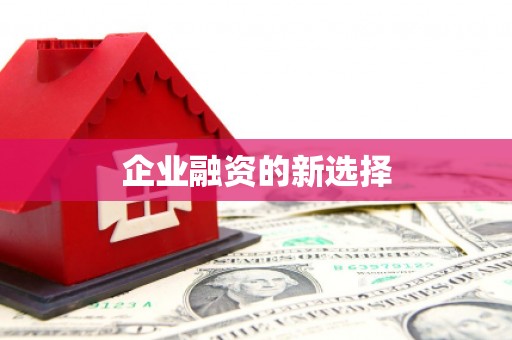 镇远企业融资的新选择