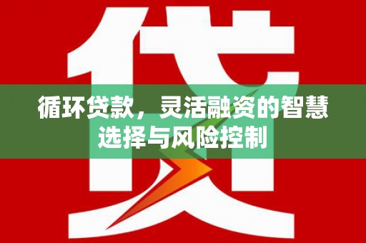 镇远循环贷款，灵活融资的智慧选择与风险控制