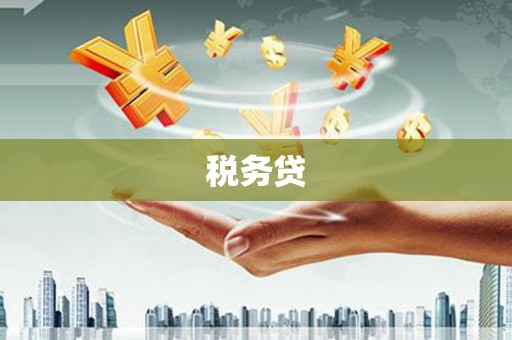 镇远税务贷