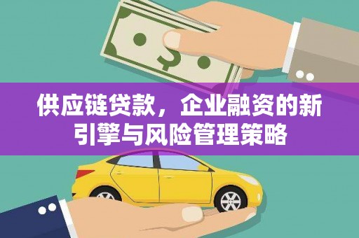 镇远供应链贷款，企业融资的新引擎与风险管理策略