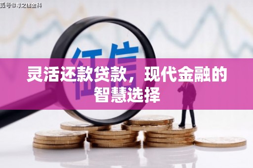 镇远灵活还款贷款，现代金融的智慧选择