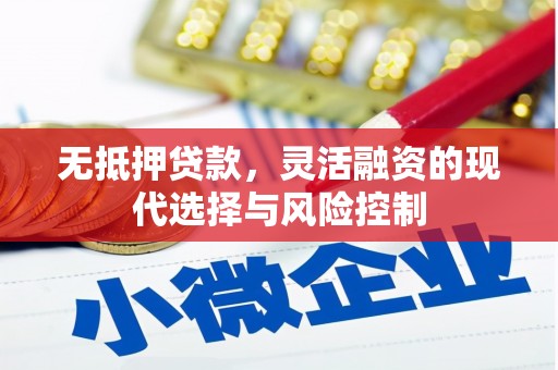 镇远无抵押贷款，灵活融资的现代选择与风险控制