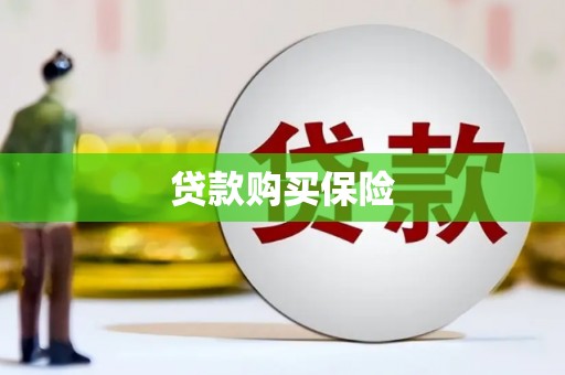 镇远贷款购买保险