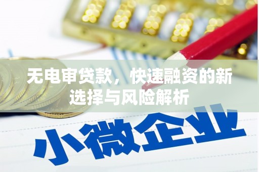 镇远无电审贷款，快速融资的新选择与风险解析