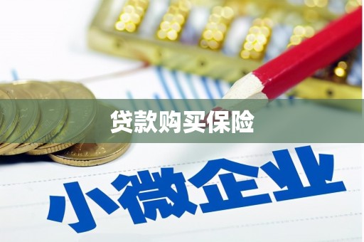 镇远贷款购买保险