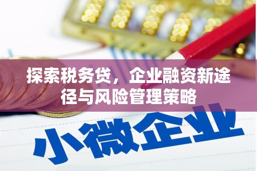 镇远探索税务贷，企业融资新途径与风险管理策略