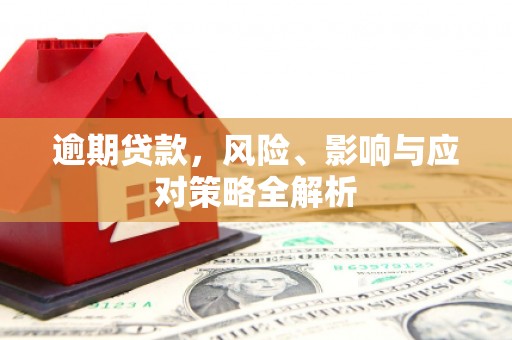 镇远逾期贷款，风险、影响与应对策略全解析