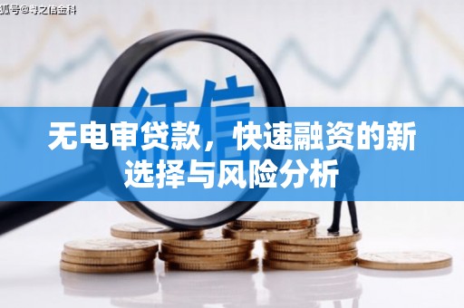 镇远无电审贷款，快速融资的新选择与风险分析