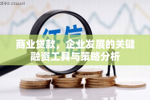 镇远商业贷款，企业发展的关键融资工具与策略分析
