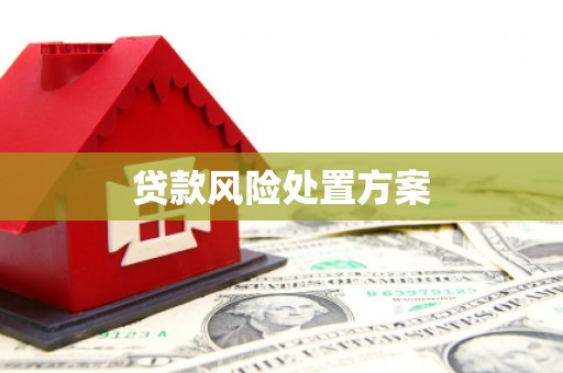 镇远贷款风险处置方案