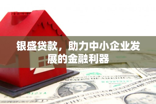 镇远银盛贷款，助力中小企业发展的金融利器