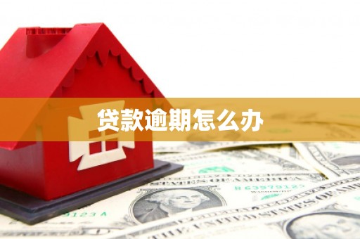 镇远贷款逾期怎么办