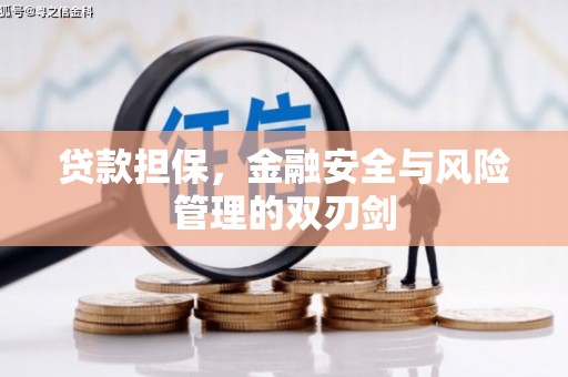 镇远贷款担保，金融安全与风险管理的双刃剑