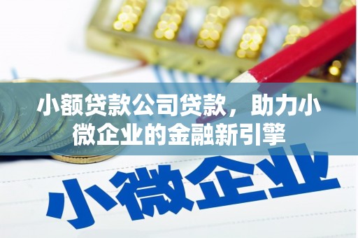 镇远小额贷款公司贷款，助力小微企业的金融新引擎
