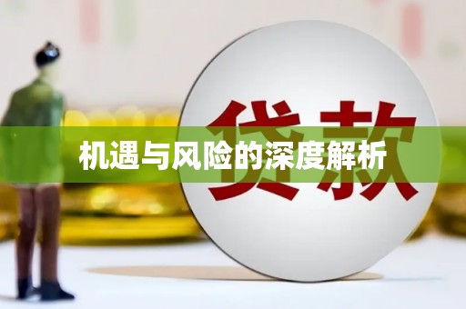 镇远机遇与风险的深度解析