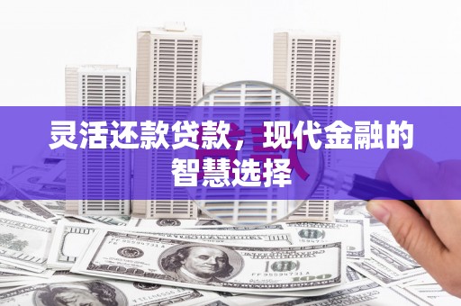 镇远灵活还款贷款，现代金融的智慧选择