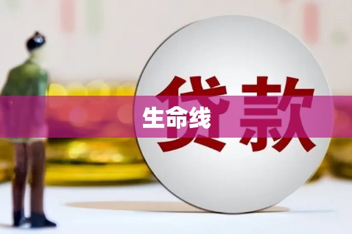 镇远生命线