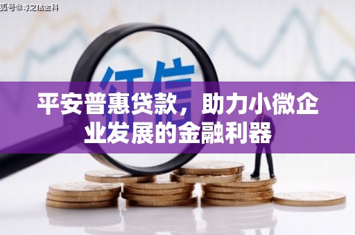 镇远平安普惠贷款，助力小微企业发展的金融利器