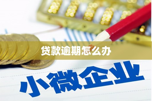 镇远贷款逾期怎么办