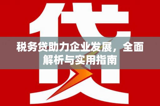 镇远税务贷助力企业发展，全面解析与实用指南