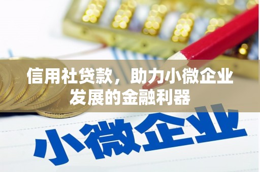 镇远信用社贷款，助力小微企业发展的金融利器