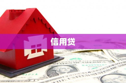 镇远信用贷