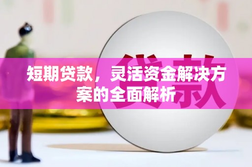 镇远短期贷款，灵活资金解决方案的全面解析