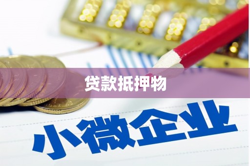 镇远贷款抵押物