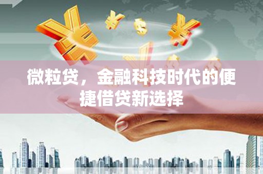 镇远微粒贷，金融科技时代的便捷借贷新选择