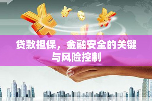 镇远贷款担保，金融安全的关键与风险控制