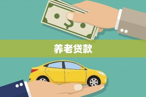 镇远养老贷款