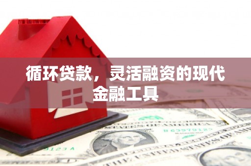镇远循环贷款，灵活融资的现代金融工具