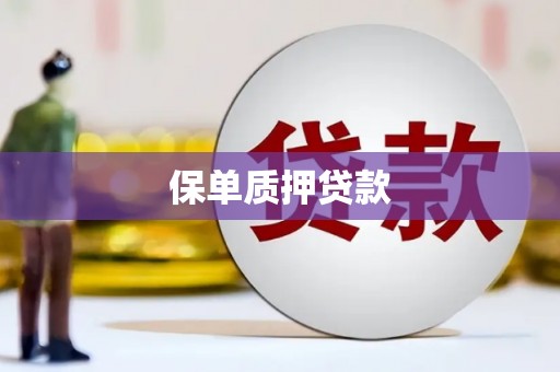 镇远保单质押贷款