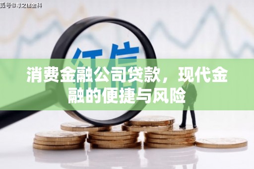 镇远消费金融公司贷款，现代金融的便捷与风险
