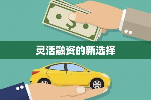 镇远灵活融资的新选择