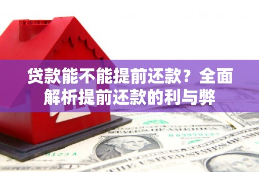 镇远贷款能不能提前还款？全面解析提前还款的利与弊