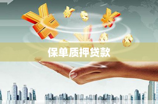 镇远保单质押贷款